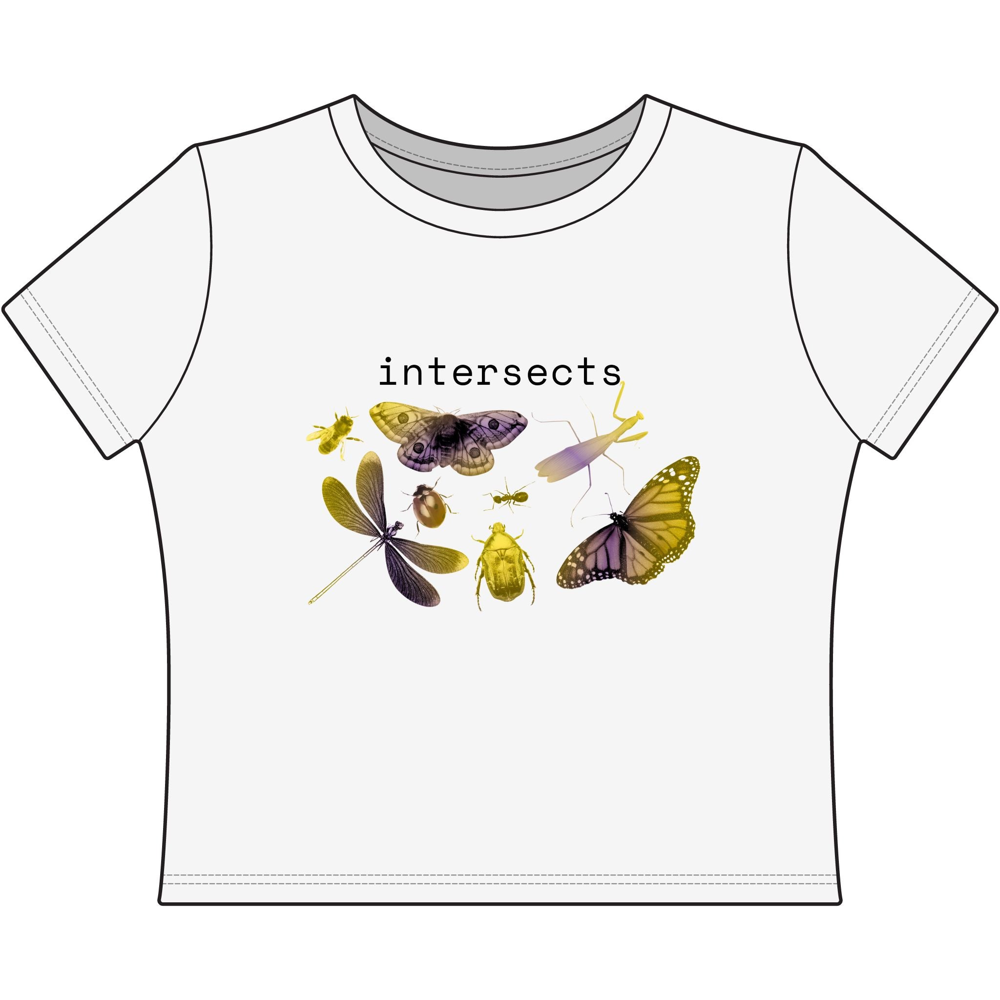 intersects