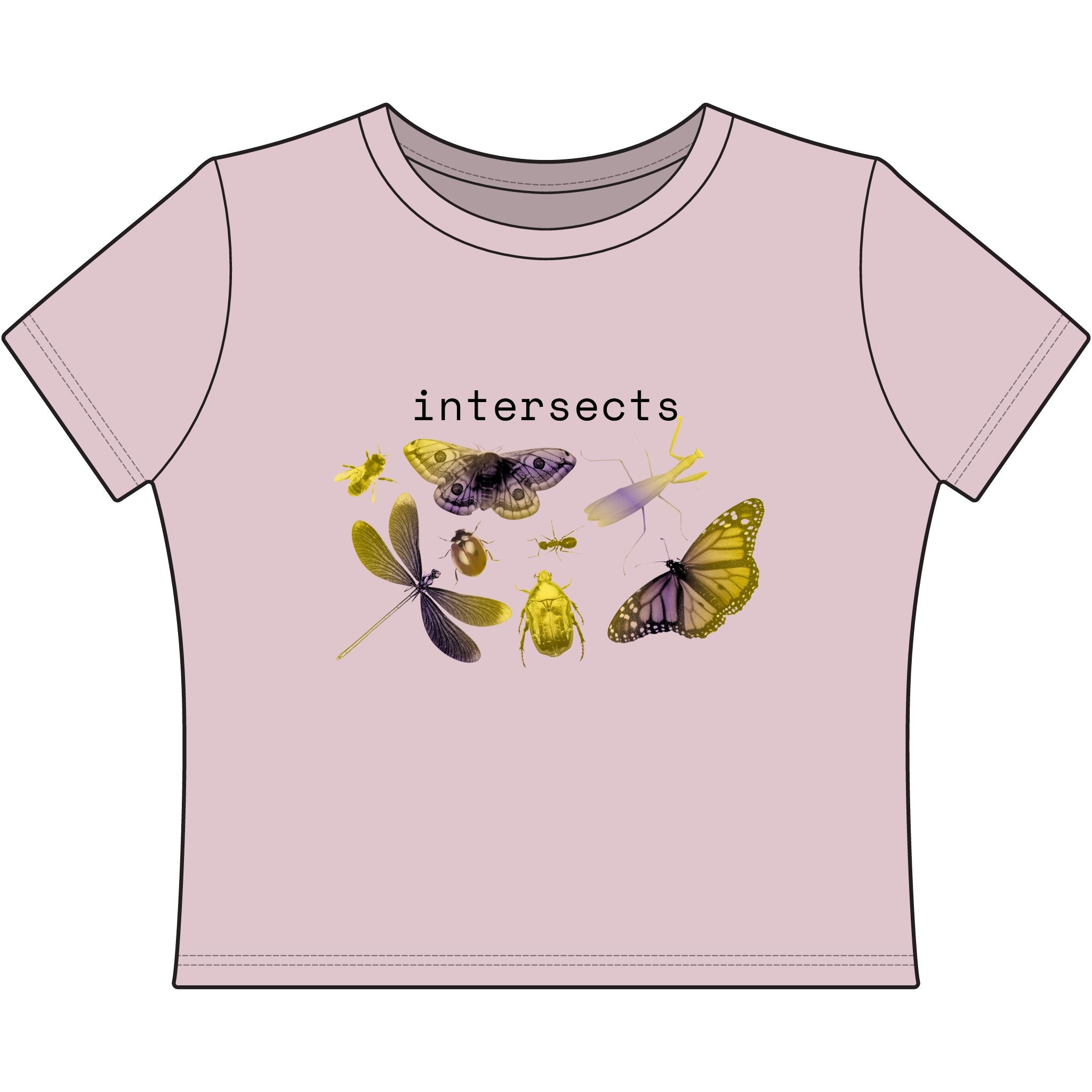 intersects