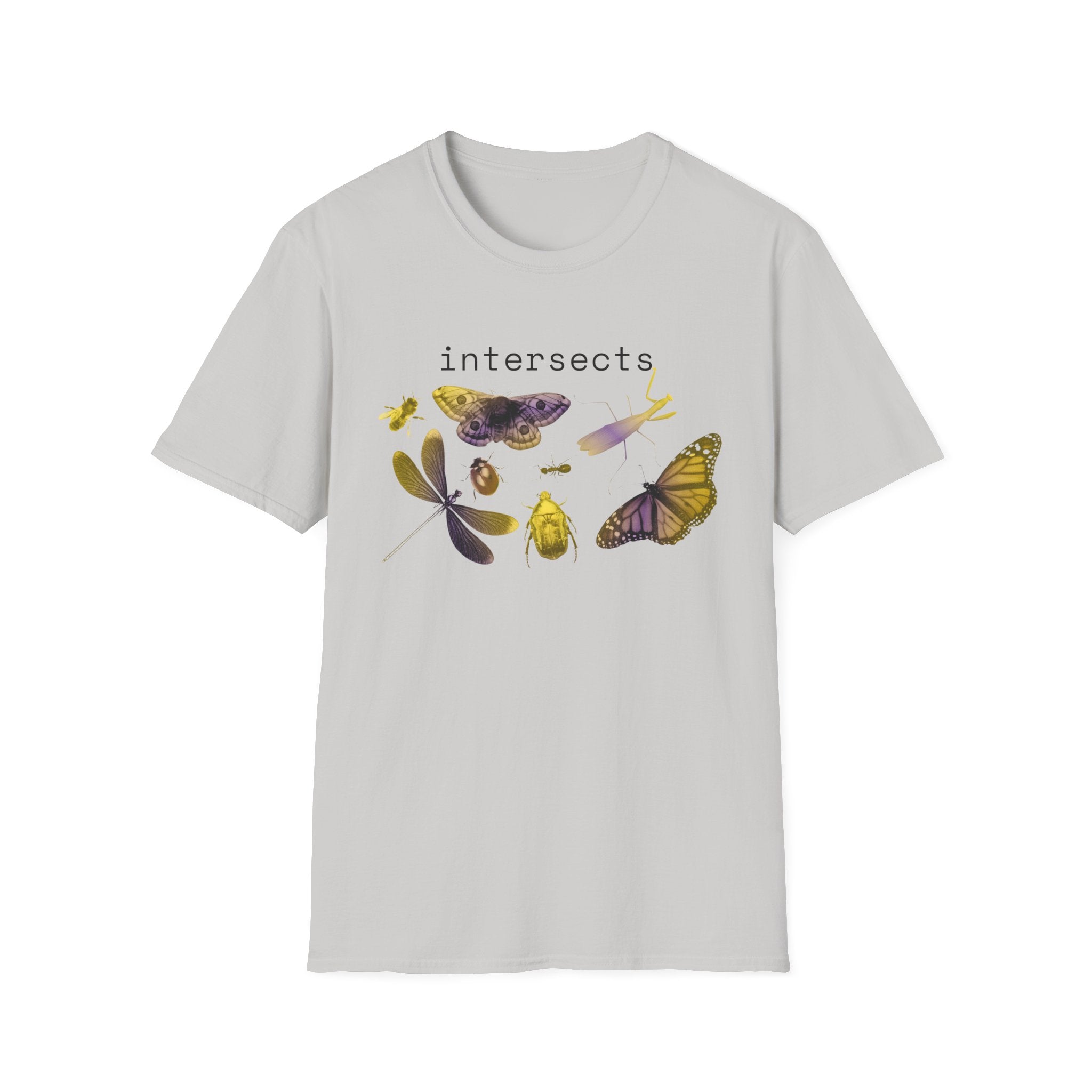 intersects